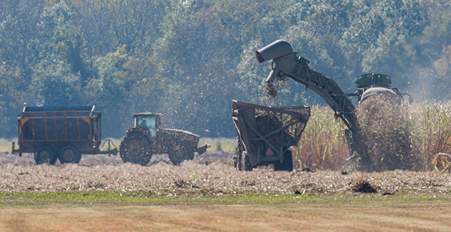 PacLease Location Spotlight - PacLease Rental Trucks Keep Peak Season Sugarcane Harvest Rolling