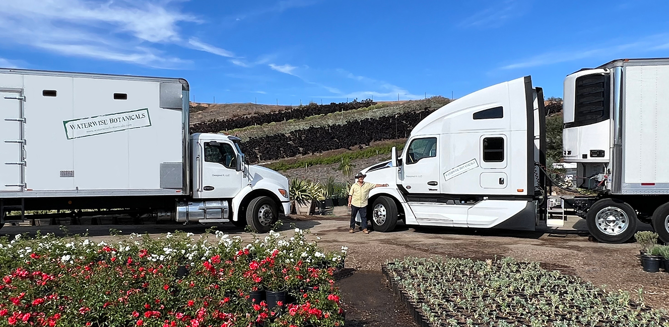 Waterwise Botanicals Finds Niche with Succulents and Specialty Plants